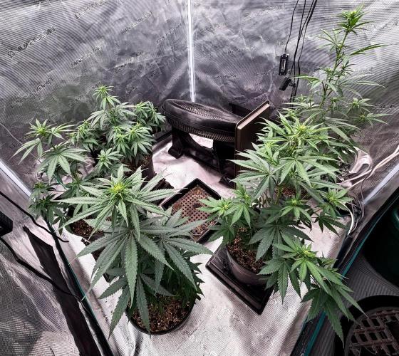RED BILLY making it Official. Week 6 - Tomorrow’s stage, day 15 then! Shit happened early, alls good