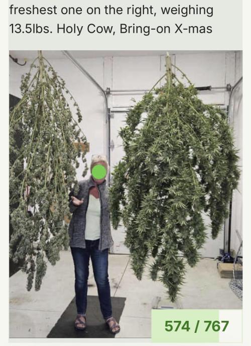 2026 Medley. Week 24 - Good Sized dbl garage, its Happening!
2023 panama red xmas trees