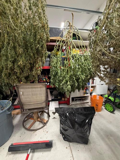 2026 Medley. Week 28 - 4th, JACKY WHITE hanging on a
Shelf-System. GMG in a big Grove Bag