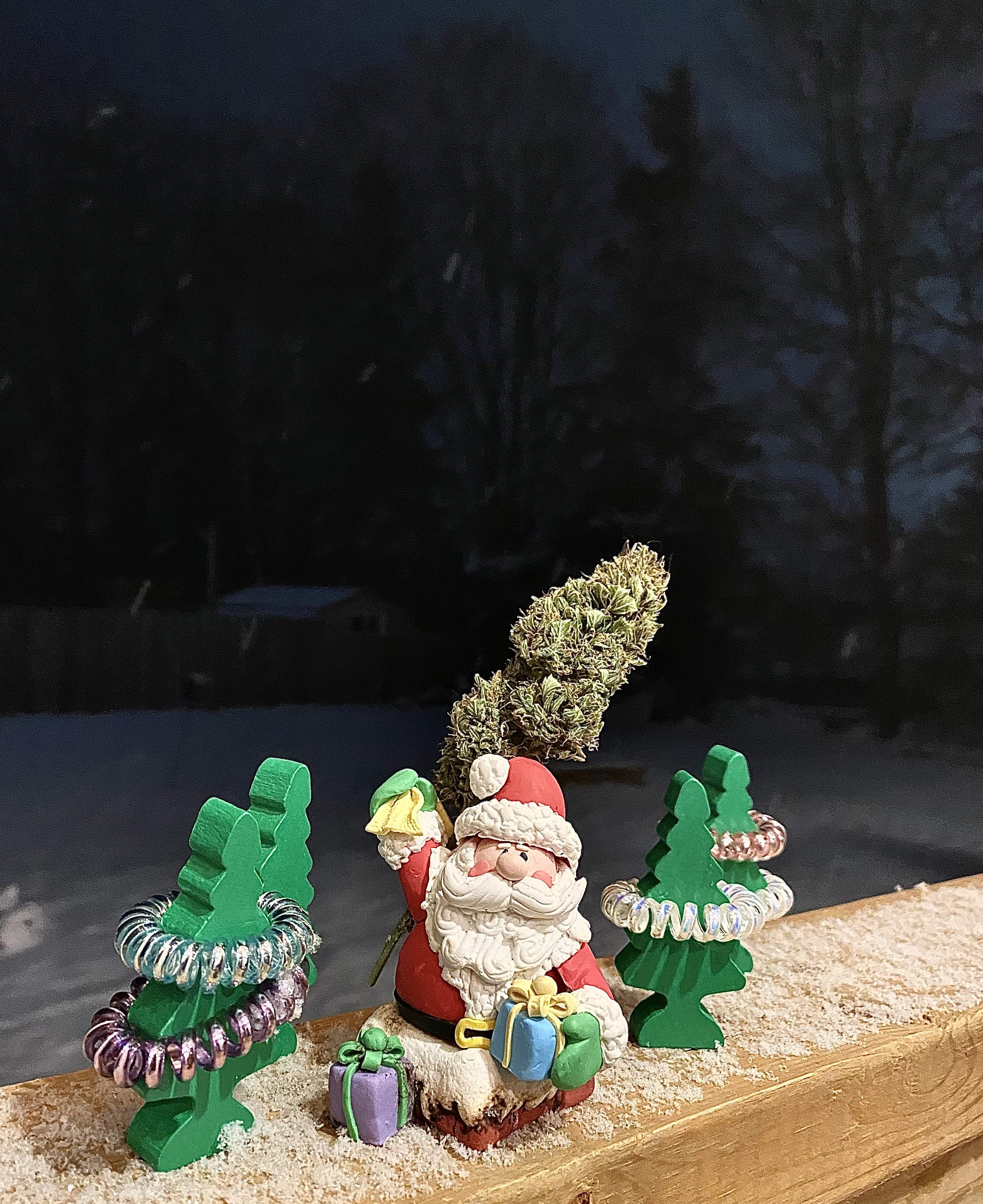 Crop King Seeds Banana Kush Autoflower 3 grow diary (journal) 3 week0