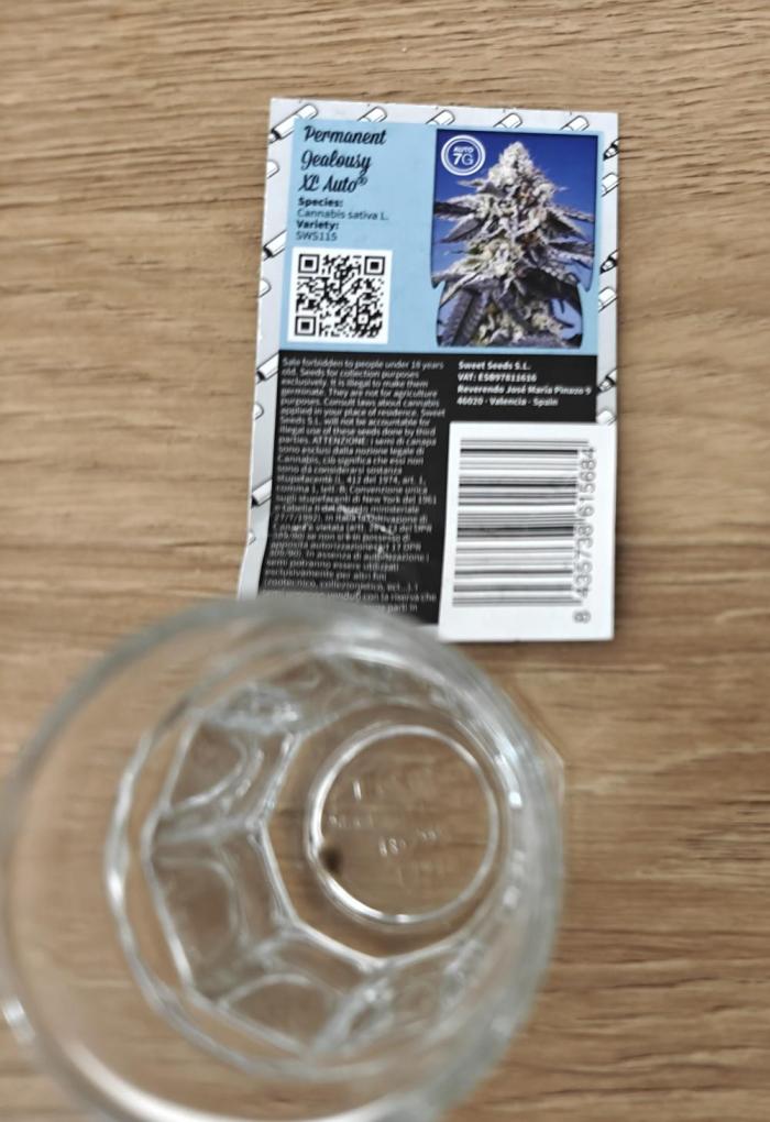 Permanent Jealousy XL Auto. Week 0 - 9/11