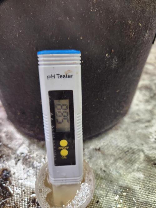 Oversized. Week 8 - Ph level run off