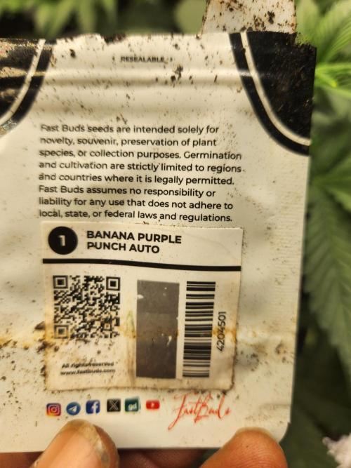 Fast bud 7 pack. Week 7