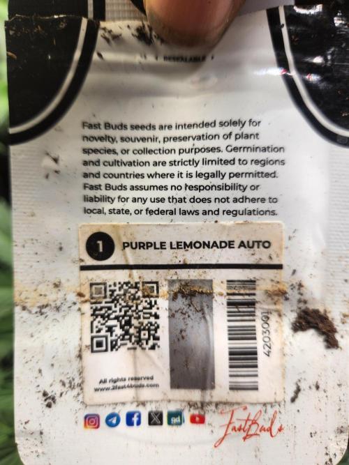 Fast bud 7 pack. Week 7