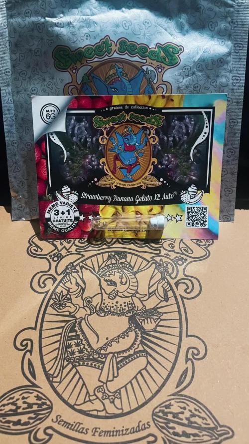 🍀Sweet seeds 🍀