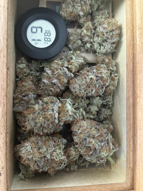 🍀42fastbuds🍀. Week 14