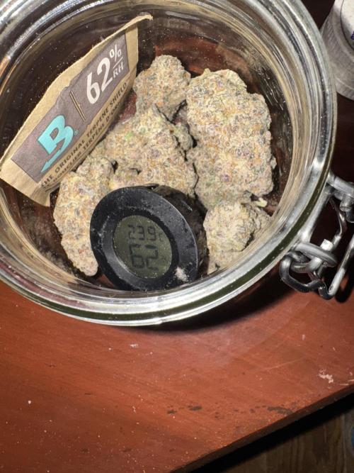 🍀42fastbuds🍀. Week 14