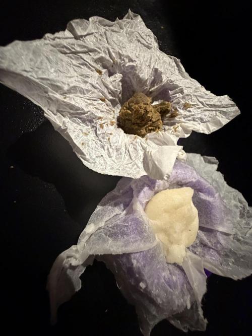 🍀42fastbuds🍀. Week 14