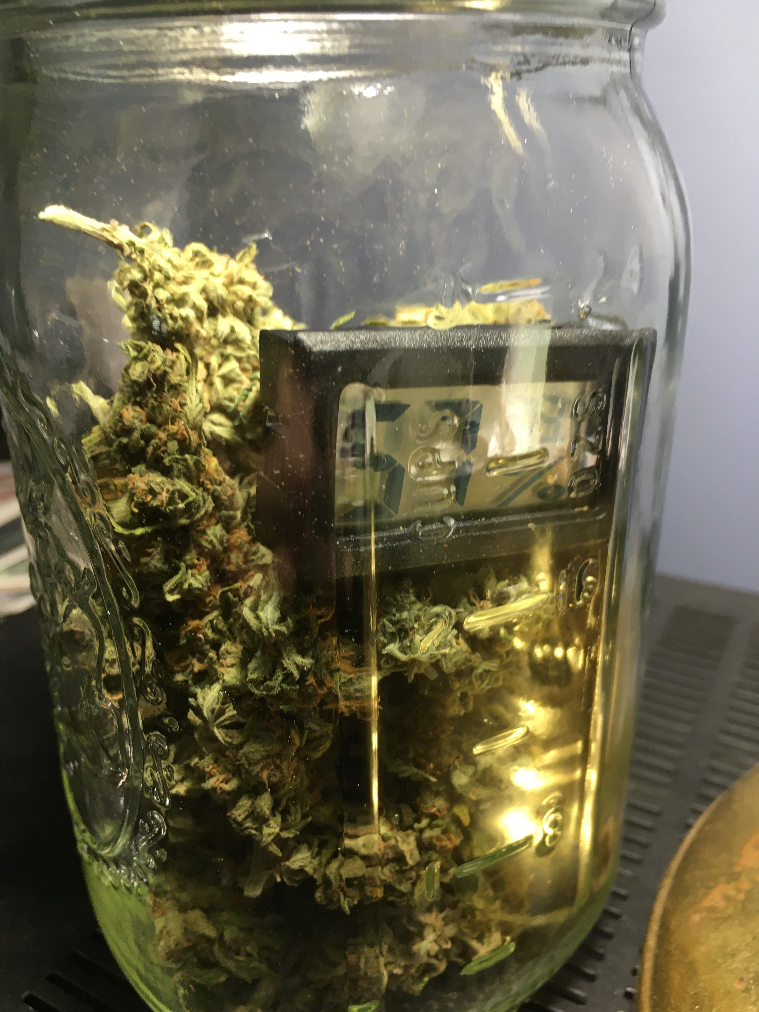 Growers Choice Seeds Candy Kush Auto, Growers Choice Seeds Gorilla Glue Autoflowering grow diary