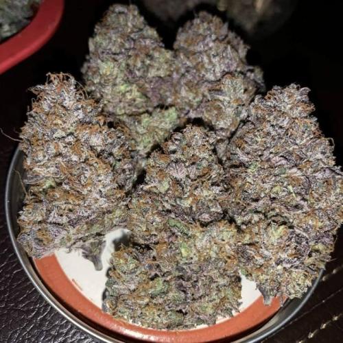 Crystal METH, Weed. Cheese | Fem, Auto. Week 9
