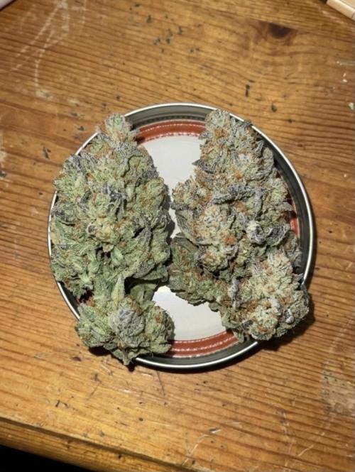 Crystal METH, Weed. Cheese | Fem, Auto. Week 12