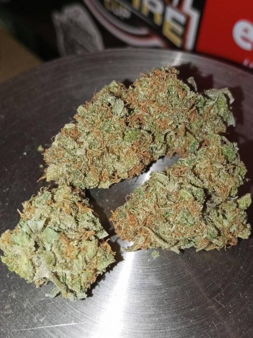 Northern Lights. Week 18