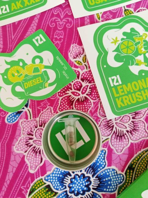 Grandpa Zombie. Week 1