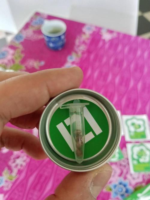 Grandpa Zombie. Week 1