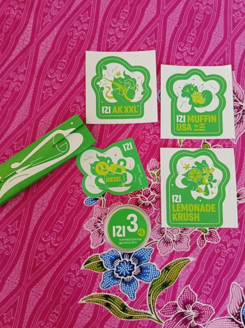 Grandpa Zombie. Week 1