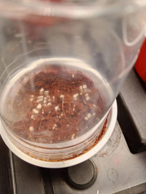 10th Planet R1. Week 1 - 12/02