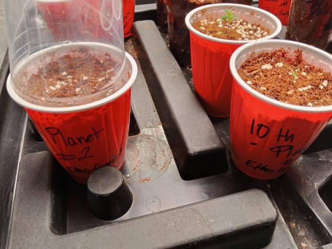 10th Planet R1. Week 1 - 12/02