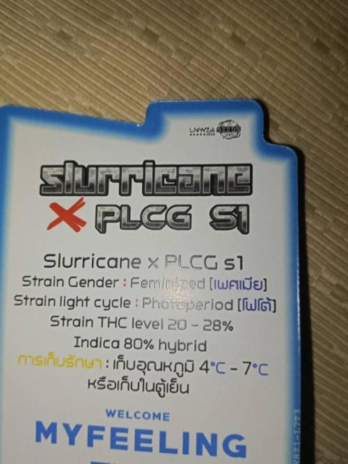 Slurricane x PLCG S1. Week 0