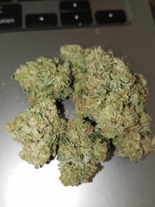 Grandpa Zombie #1. Week 17