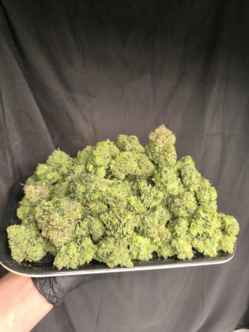 Frostbanger Auto LED. Week 10