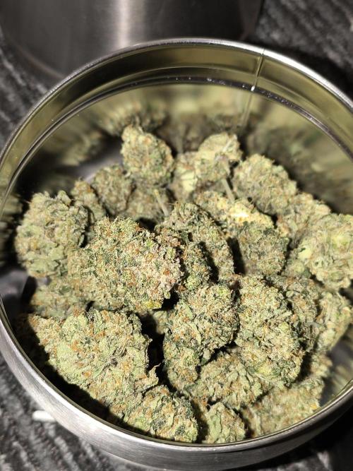 Frostbanger Auto LED. Week 10