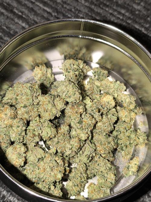 Frostbanger Auto LED. Week 10