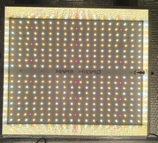 Frostbanger Auto LED. Week 0