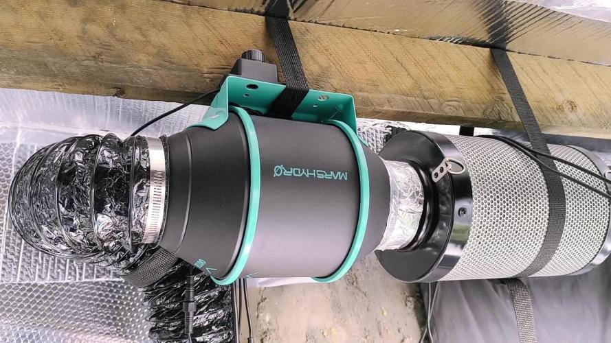 Frostbanger Auto LED