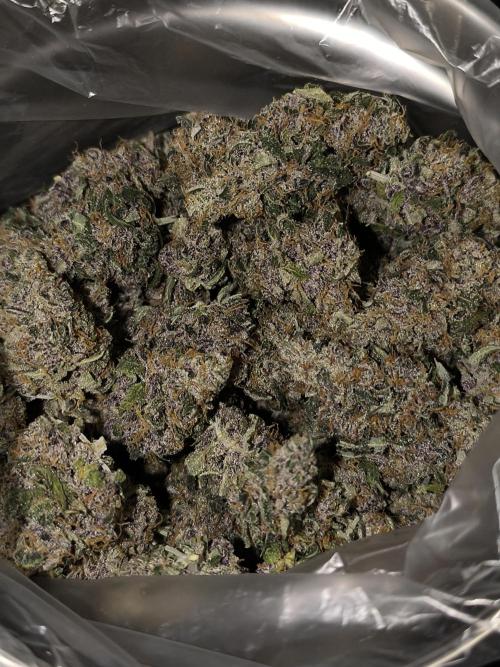 Frostbanger Auto LED. Week 11