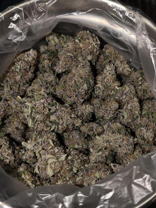 Frostbanger Auto LED. Week 11