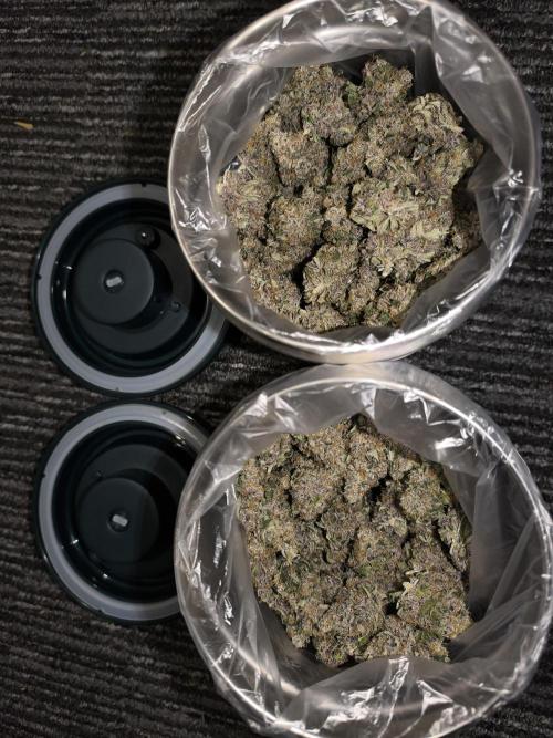 Frostbanger Auto LED. Week 11