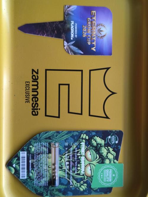 Sticky Broccoli Auto LED. Week 0