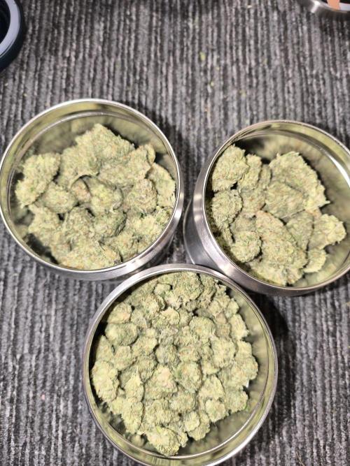 Black Opium Auto LED. Week 15