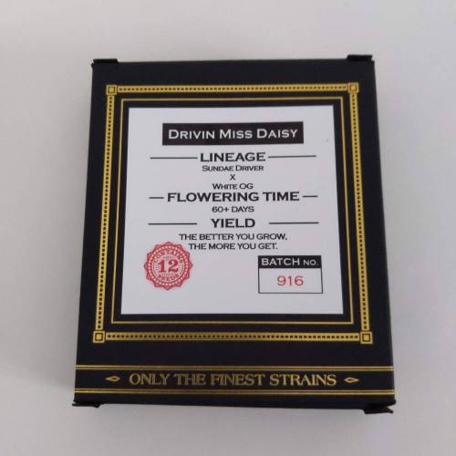 Driving Miss Daisy reg's by Swamp Boys. Week 0