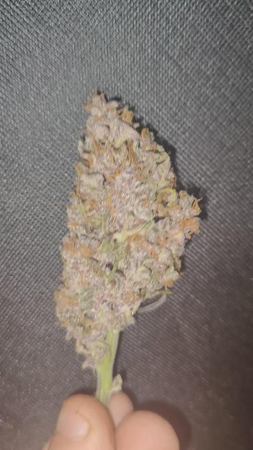 SweetsAutobox
