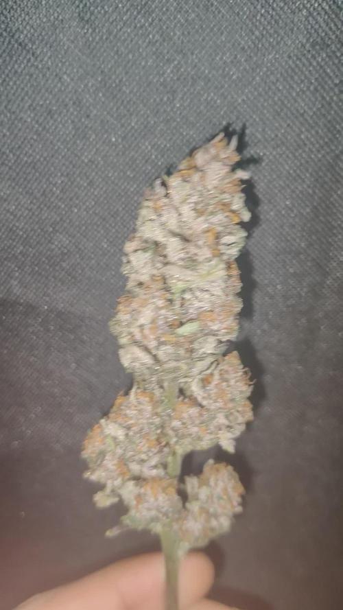 SweetsAutobox