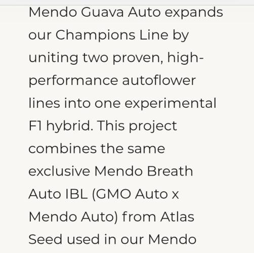 Fastbuds Mendo Guava by Paul_on.. Week 0 - Read this ,really sounds ,great 👌🔥