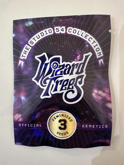 Wizard Trees 🧙‍♀️. Week 0