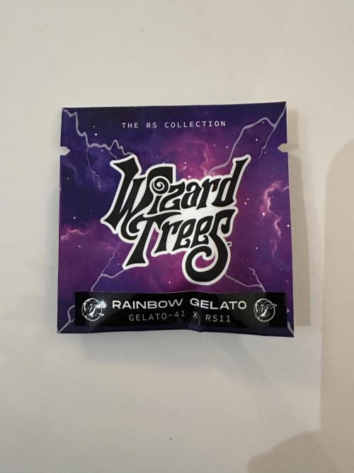 Wizard Trees 🧙‍♀️. Week 0