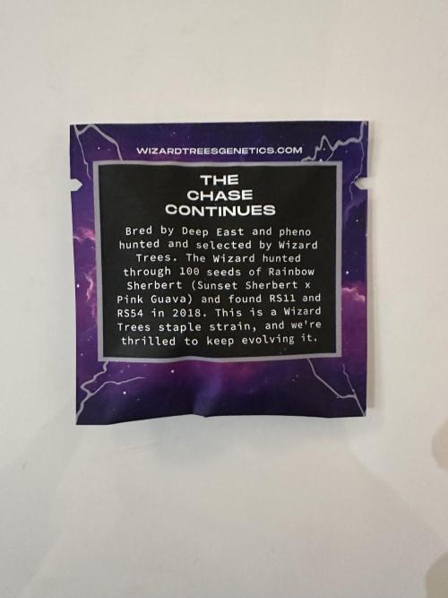 Wizard Trees 🧙‍♀️. Week 0