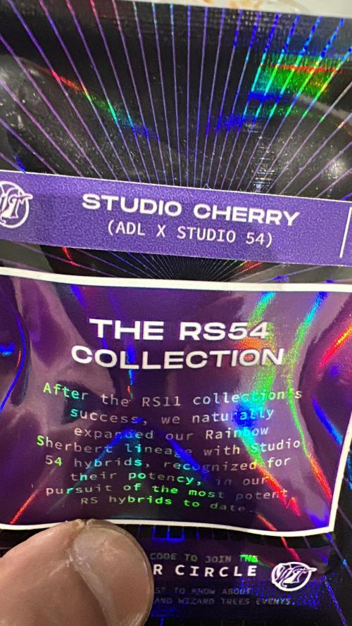 Wizard Trees 🧙‍♀️. Week 0