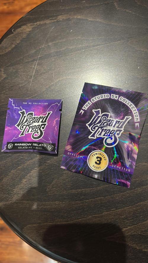 Wizard Trees 🧙‍♀️. Week 0