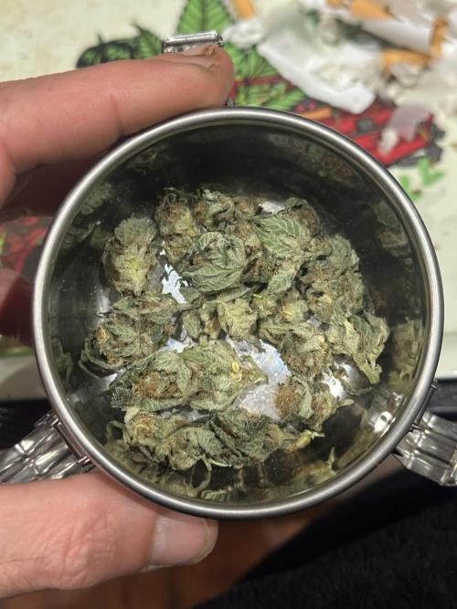 Apple Fritter Barney’s Farm. Week 8