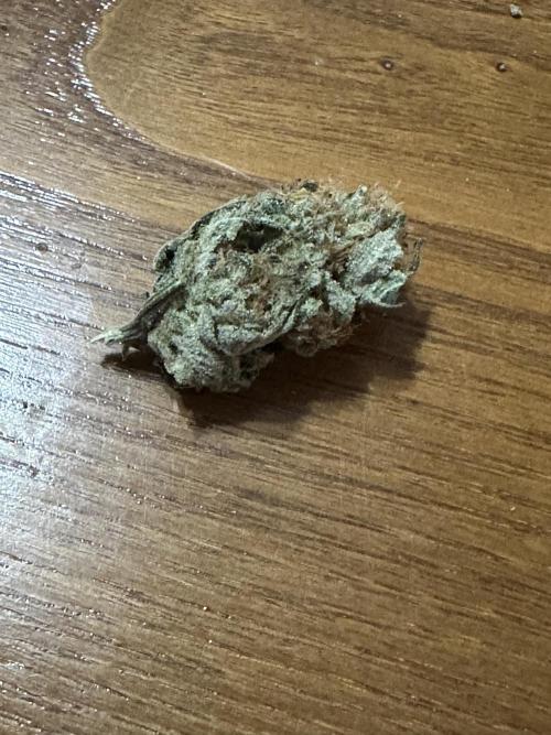 Apple Fritter Barney’s Farm. Week 8