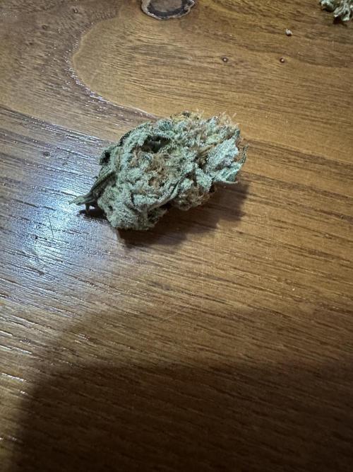 Apple Fritter Barney’s Farm. Week 8