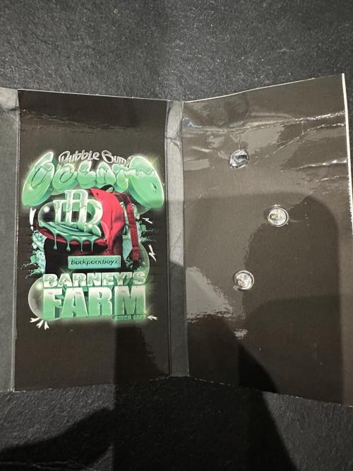 Bubblegum Gelato. Week 0