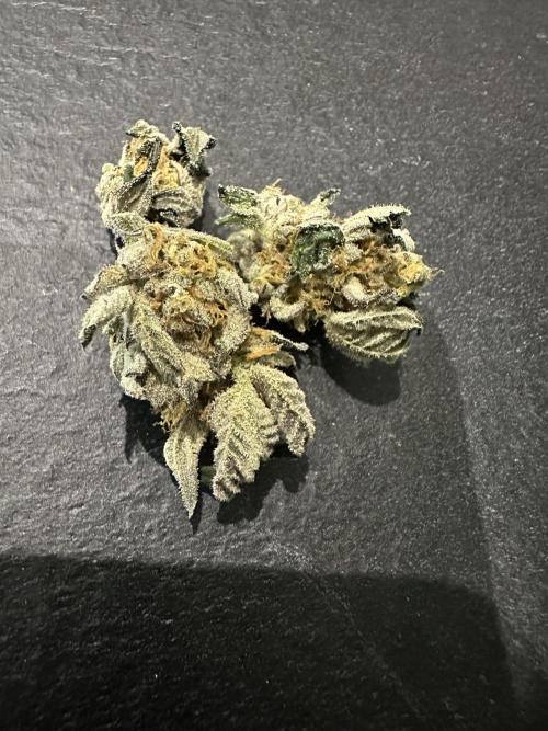 Wizard Trees 🧙‍♀️. Week 9