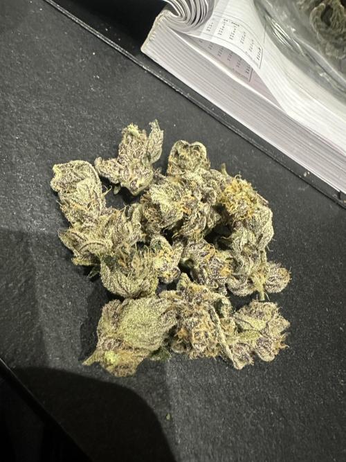 Wizard Trees 🧙‍♀️. Week 9