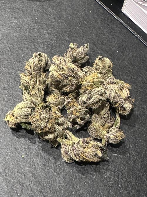 Wizard Trees 🧙‍♀️. Week 9