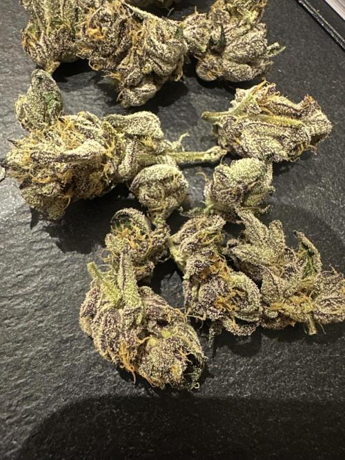 Wizard Trees 🧙‍♀️. Week 9